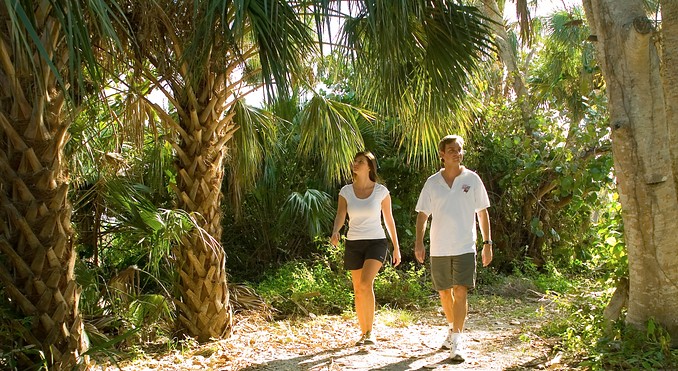 Image courtesy of VISTFLORIDA.com