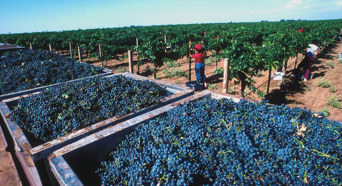 Image courtesy of TravelTex.com