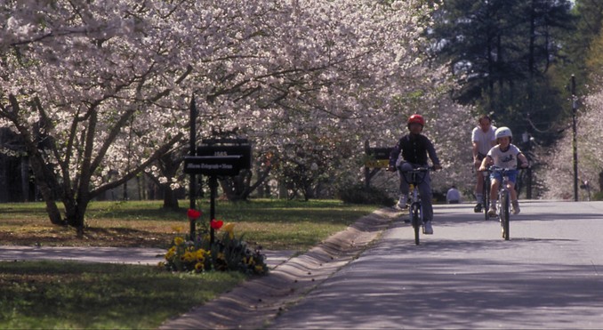 Image courtesy of Georgia Department of Economic Development