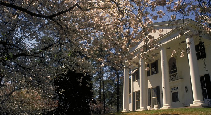 Image courtesy of Georgia Department of Economic Development