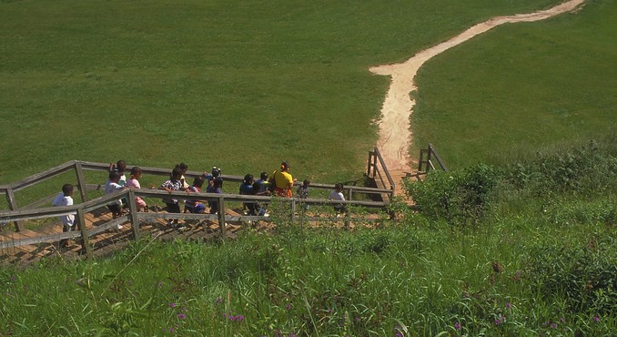 Image courtesy of Georgia Department of Economic Development