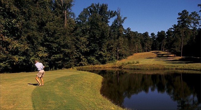 Image courtesy of Georgia Department of Economic Development