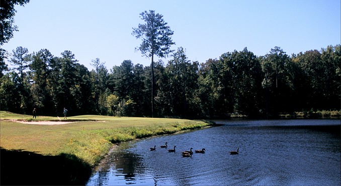 Image courtesy of Georgia Department of Economic Development