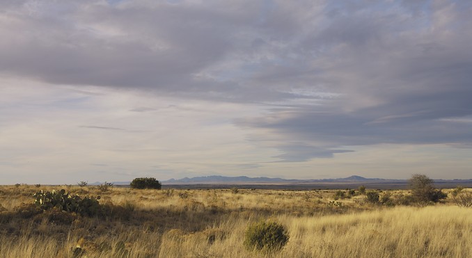 Image courtesy of TravelTex.com