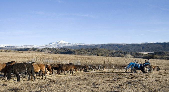 Image Courtesy of Colorado Tourism Office/Matt Inden/Weaver Multimedia Group