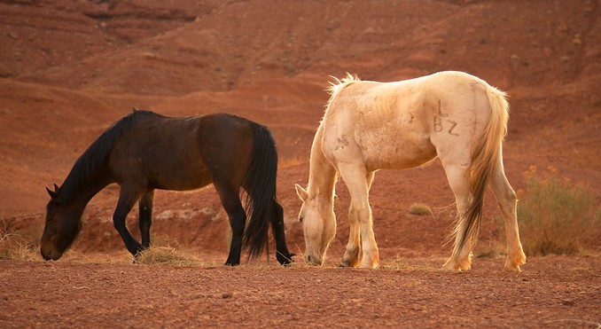 Image courtesy of Tourism Media