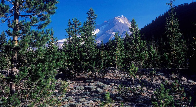Image courtesy of Oregon Tourism Commission