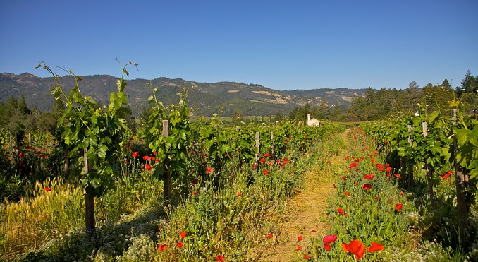 Image courtesy of Tourism Media