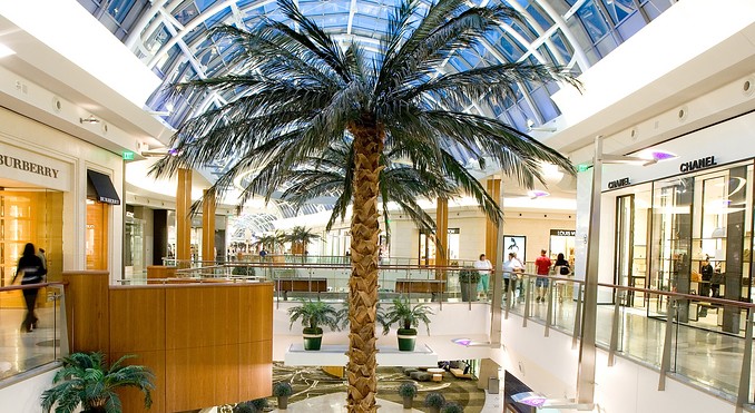 Image courtesy of VISTFLORIDA.com