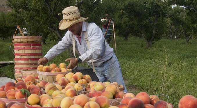 Image Courtesy of Colorado Tourism Office/Matt Inden/Weaver Multimedia Group