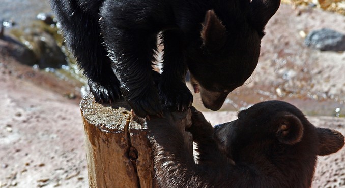 Image Courtesy of Peg Owens/Idaho Tourism