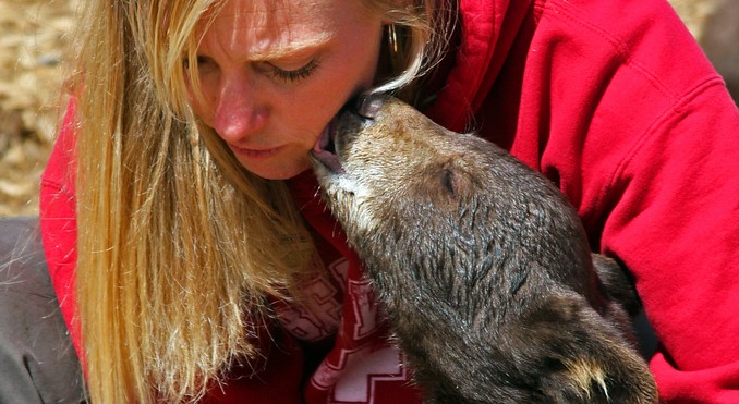 Image Courtesy of Peg Owens/Idaho Tourism