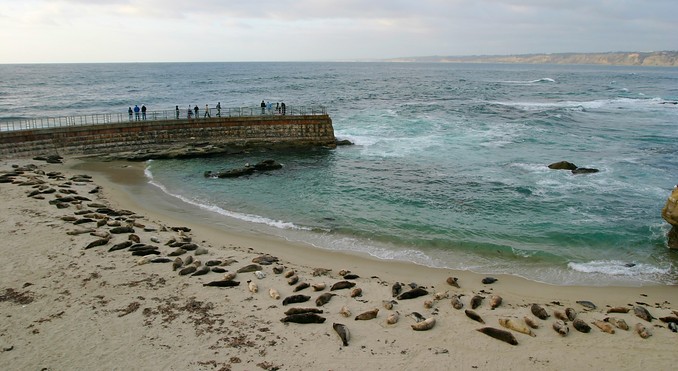 San Diego