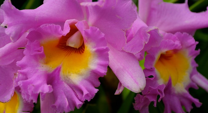 Image courtesy of fotojoy