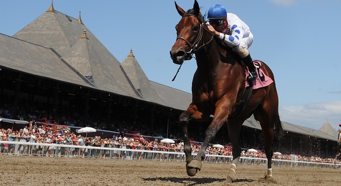 Image Courtesy of Saratoga County Chamber of Commerce and Adam Coglianese/NYRA
