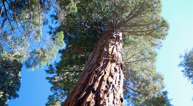 Image courtesy of California Travel and Tourism Commission