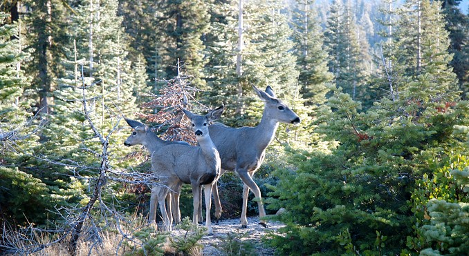 Image courtesy of California Travel and Tourism Commission