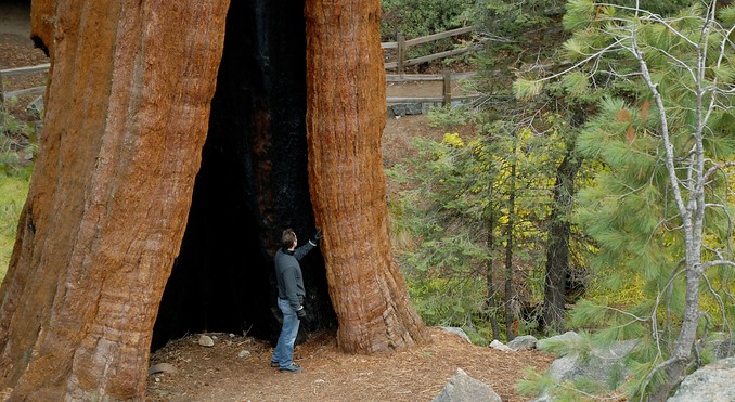 Image courtesy of California Travel and Tourism Commission