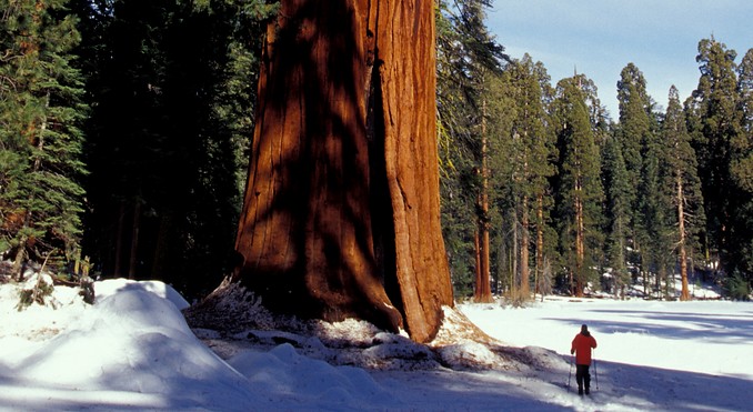 Image courtesy of California Travel and Tourism Commission
