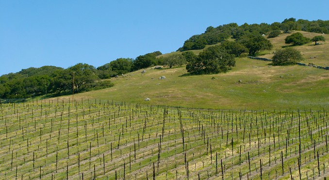 North Coast California