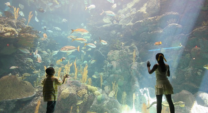 Image courtesy of VISTFLORIDA.com