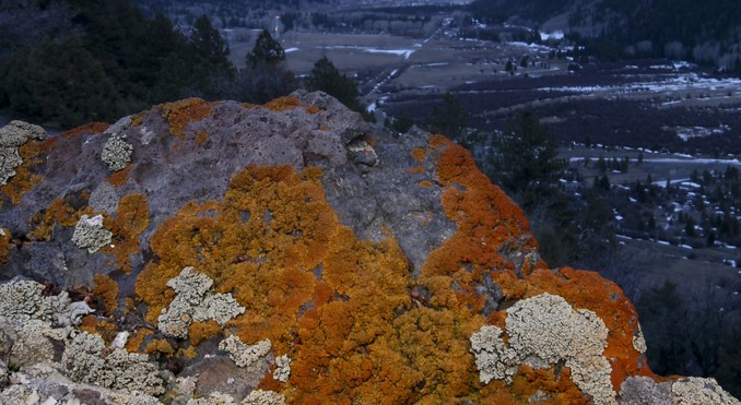 Image Courtesy of Colorado Tourism Office/Matt Inden/Weaver Multimedia Group