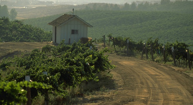 Image courtesy of California Travel and Tourism Commission