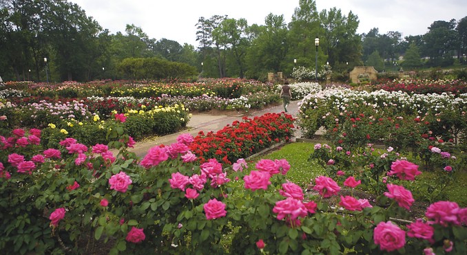 Image courtesy of TravelTex.com