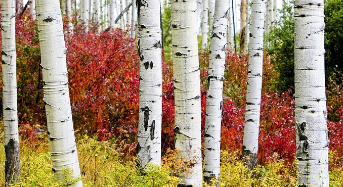 Vail