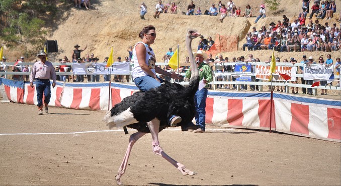 Image courtesy of Travel Nevada