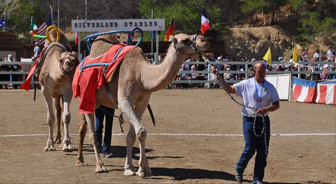 Image courtesy of Travel Nevada
