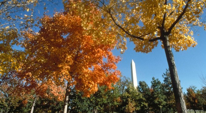 Image courtesy of Destination DC
