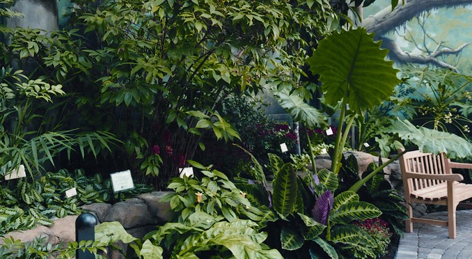Image Courtesy of Illinois Office of Tourism and Quad Cities Botanic Center