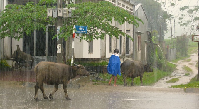 Hoi An